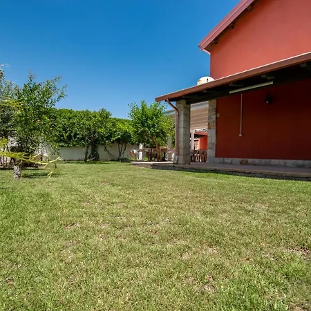 Enza San Lorenzo * Reitani